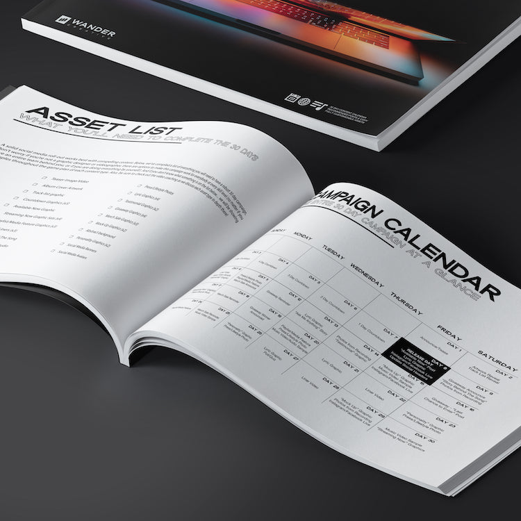 Album + Single Release Game Plan (30 Day)