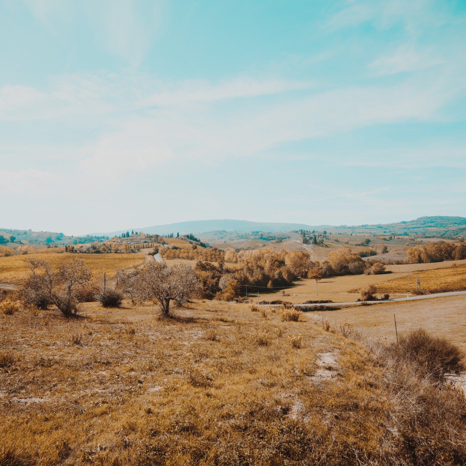 Cumberland Photo Presets