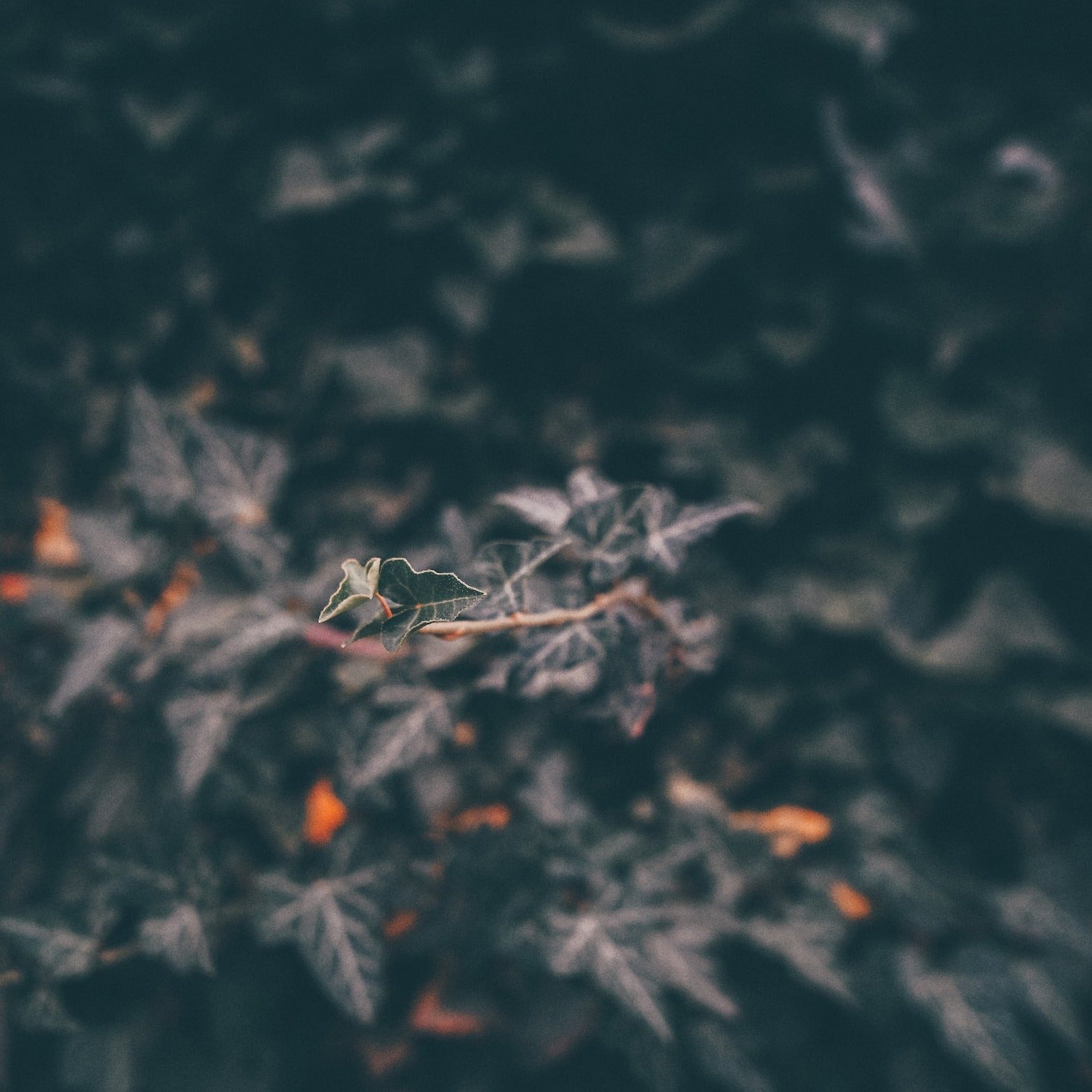Photo Presets Master Collection