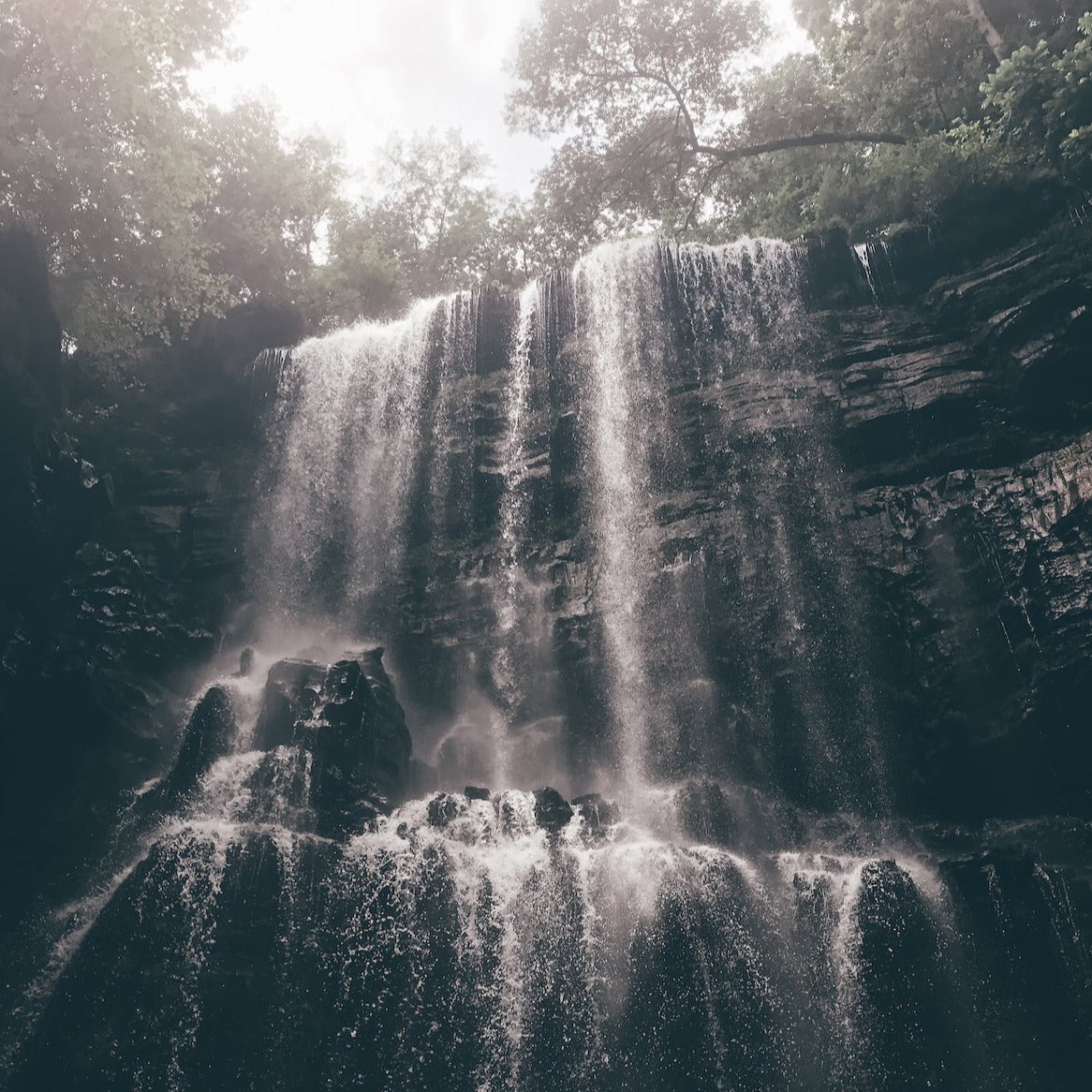 Rexton Photo Presets