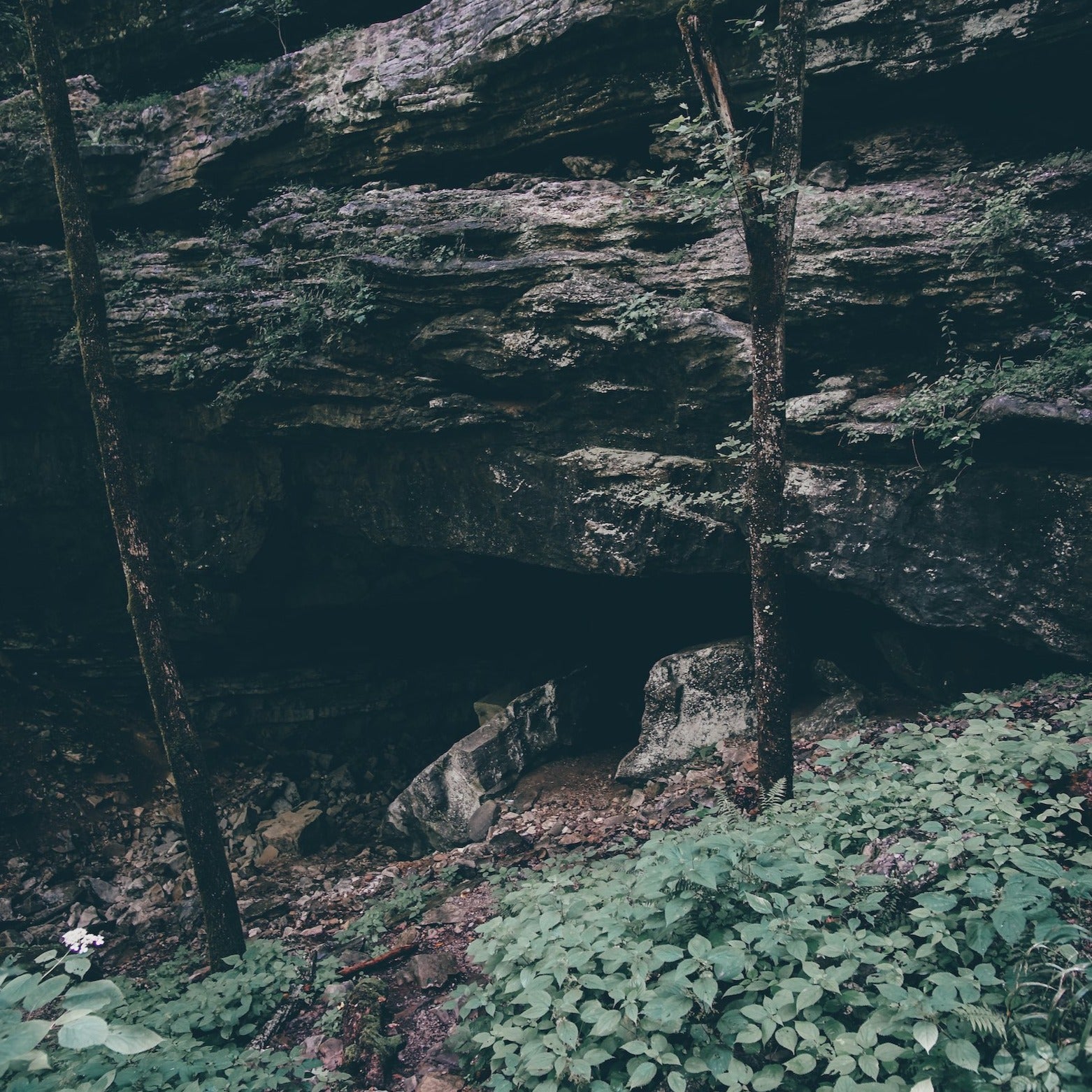 Rexton Photo Presets