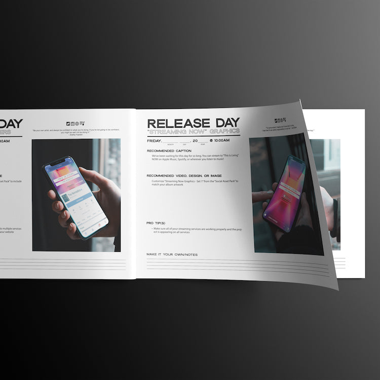 Album + Single Release Game Plan (30 Day)